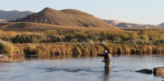 6 State Parks to Explore Near Colorado Springs fishing at spinney mountain state park