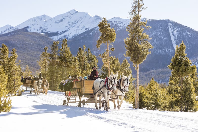Horses pull a snowy sleigh ride at Two Below Zero dinner sleigh rides in Frisco, Colorado