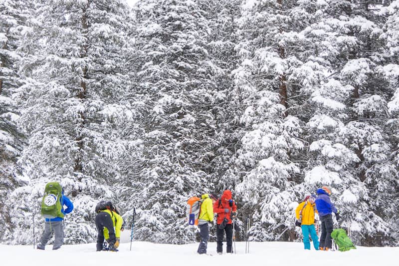 backcountry skiers on hut trip