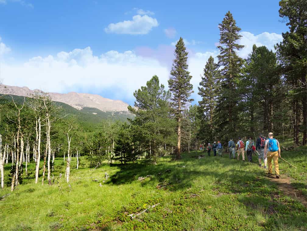 Friends of the Peak trailwork on the move.