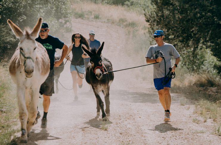 runners burro racing