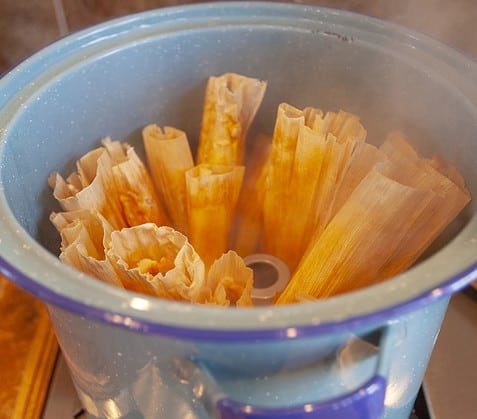 Tamales upright in the steamer.