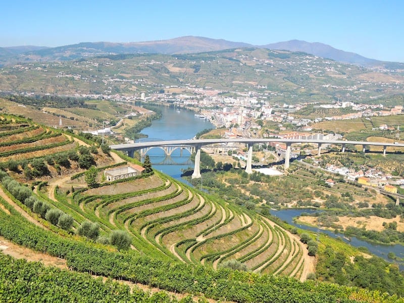 Aerial view of a Portugal Vineyard.