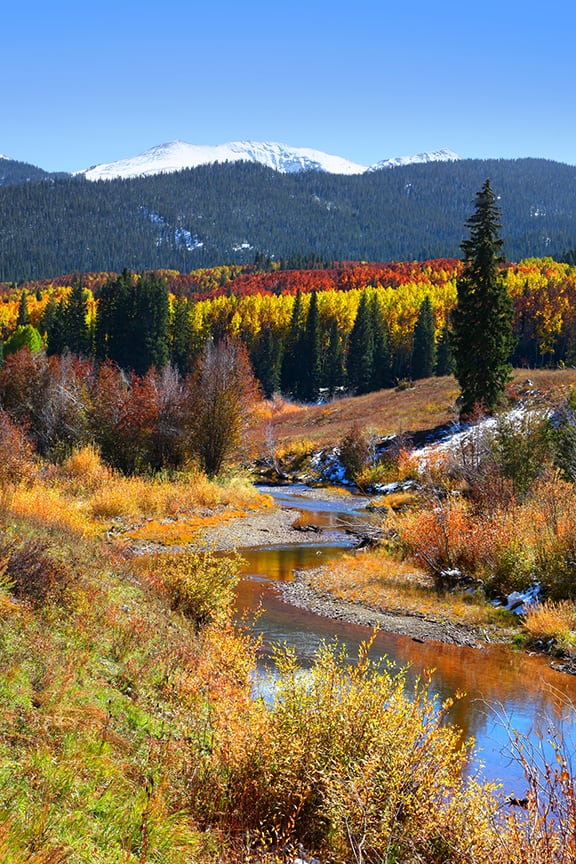 fall color on Cottonwood Pass