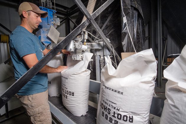 Colorado barely at Root Shoot Malting in Loveland