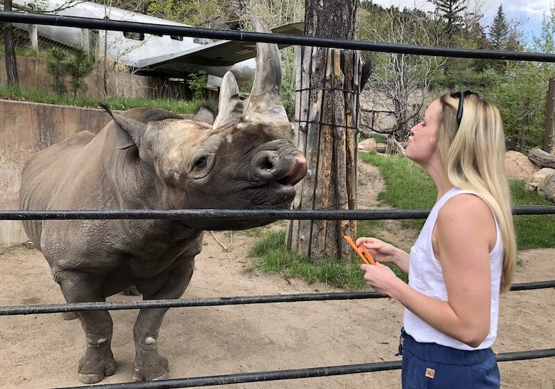 A woman gets face to face with a rhinoceros at the Cheyenne Mountain Zoo.