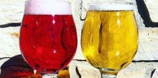 weird beer of Colorado Springs, Chips and Salsa Cerveza Cream Ale, Cogstone Brewing Company