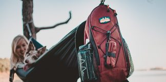 MuttRuck backpacks for dogs and owners