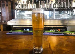 sampling Phantom Canyon's Alpenglow Hefeweizen after brewing