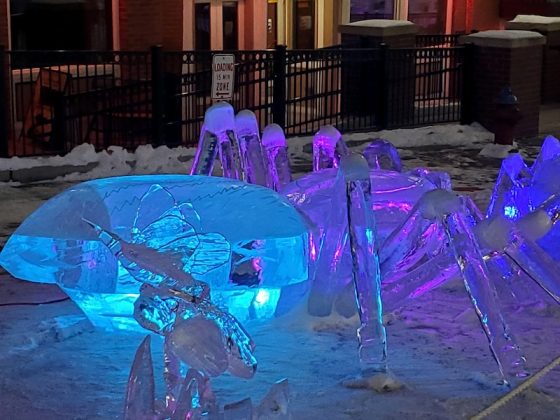 Frozen spider ice carving.