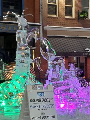Wasp and beetle by Snice Carvings in Cripple Creek Ice Festival.