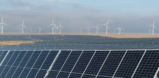 Grazing Yack Solar Project