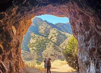 Trails: 52 Hikes in 52 Weeks HIkes Colorado Springs