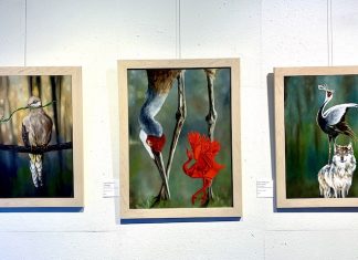 Local Arts and Entertainment in Your Living Room Paintings in the Fable exhibit by Shannon Dunn at Kreuser Gallery, part of Virtual First Friday