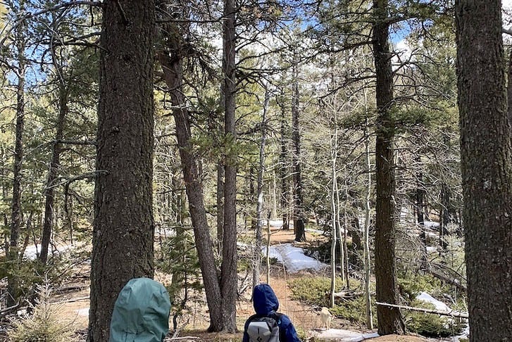 Social distancing hiking on Colorado Springs trails