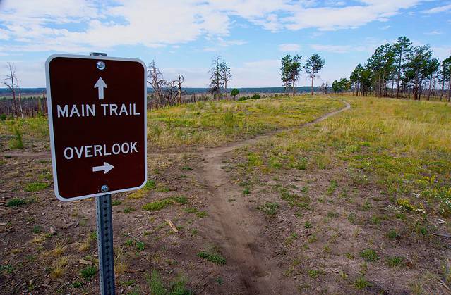 Open meadow and overlook sign in Pineries Open Space