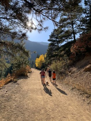 Follow Gold Camp Road to begin the hike to St. Mary's Falls