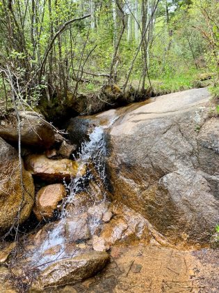 Buffalo Creeks parallels the St. Mary's Falls Trail for most of the way