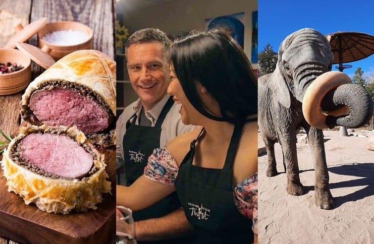 Arts Month 2021 Giveaways prizes, beef wellington cooking class, painting class, paint with an elephant