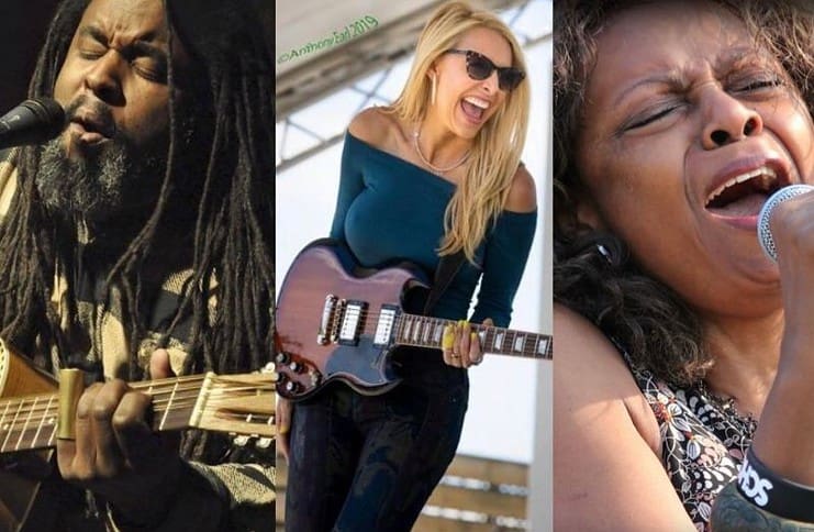 blues on the mesa outdoor concert musicians composite