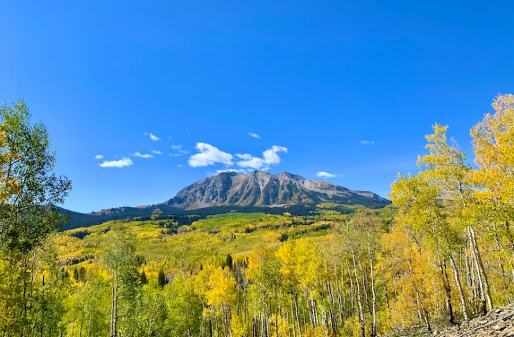 Fall color, golden aspen on Kebler Pass, Colorado