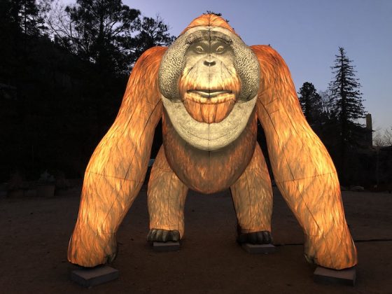 New inflatable orangutan at Electric Safari, Cheyenne Mountain Zoo