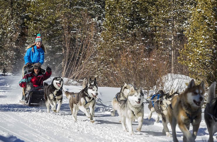 A couple on a snowy dog sledding tour in Breckenridge, Colorado