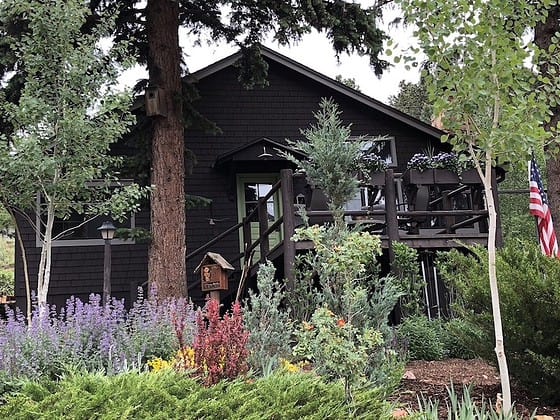Cabins in colorado Springs