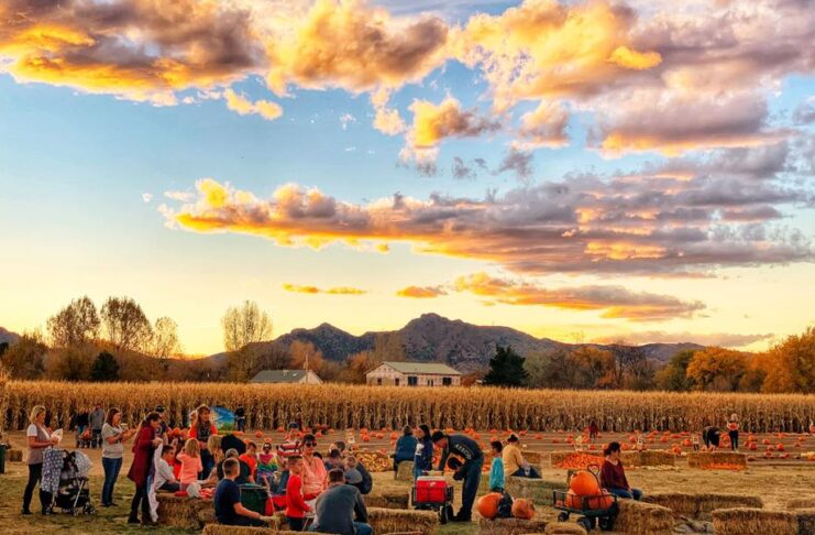 Diana's pumpkin patch in colorado springs at sunset