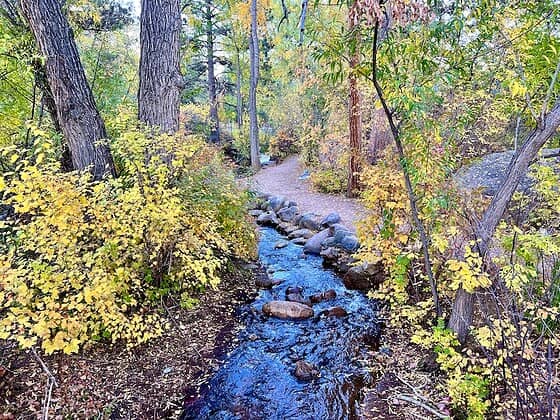 Fall color glowing along Cheyenne Creek in North Cheyenne Canon Park