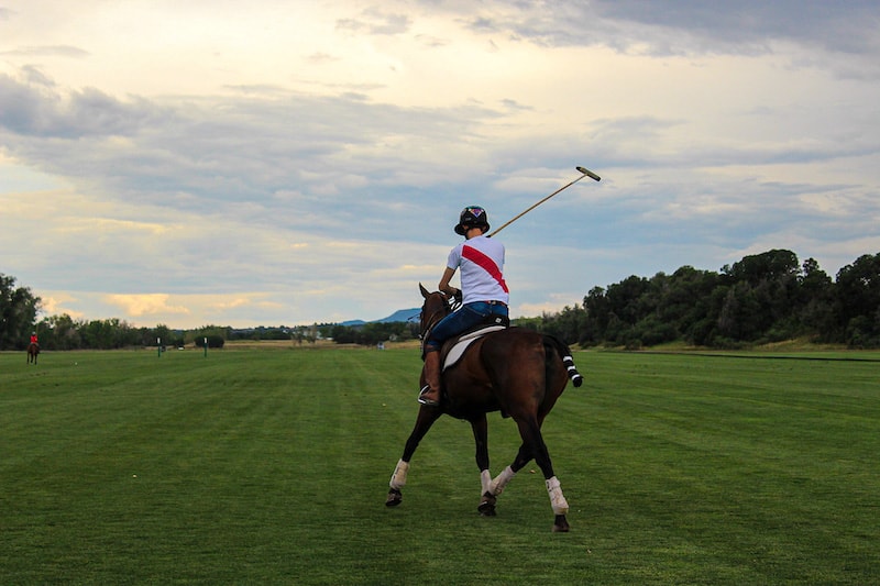 A polo pony and player trot across a green grass field in Colorado