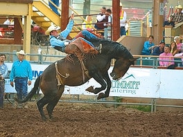 Pikes Peak or Bust Rodeo Keeps the Western Spirit Alive Bronco rider holding on tight at the Pikes Peak or Bust Rodeo. Photo courtesy of Pikes Peak or Bust Rodeo.