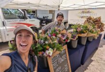 Fresh flowers by Ellen's Flowers at the Backyard Market, a farmers market in Colorado Springs.