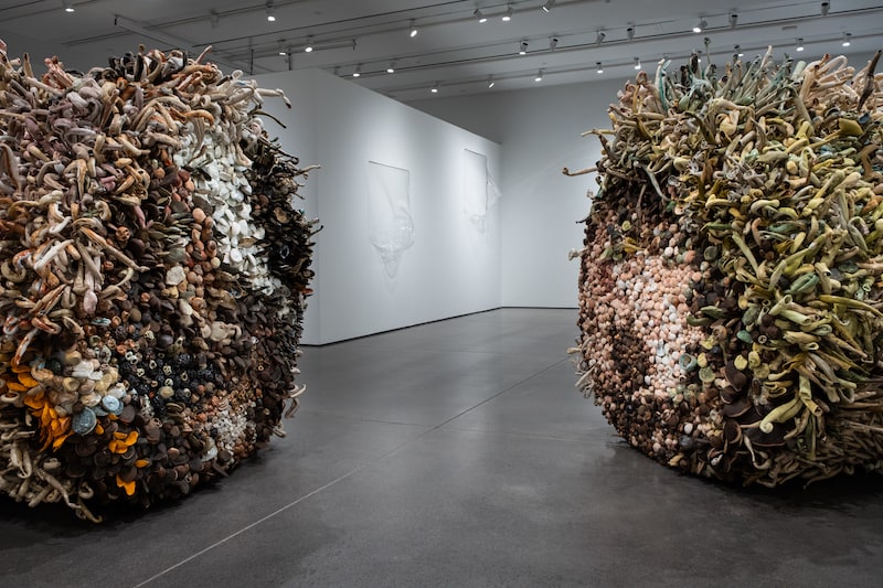 Large coral-like sculptures in Martha Russo's caesura exhibition at GOCA at UCCS in Colorado Springs