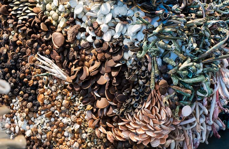 A closeup angle of Martha Russo's sculpture in caesura exhibition at GOCA at UCCS