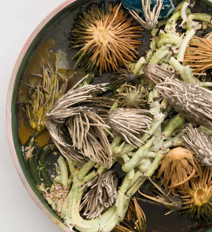 Closeup detail of a sculpture by Martha Russo in her Caesura exhibition at GOCA UCCS