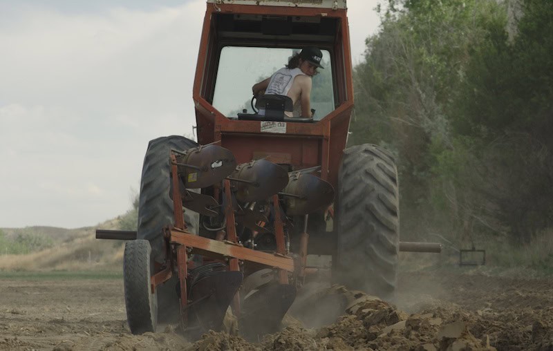 Jace Martellaro drives a tractor and ploughs a field in Pueblo.