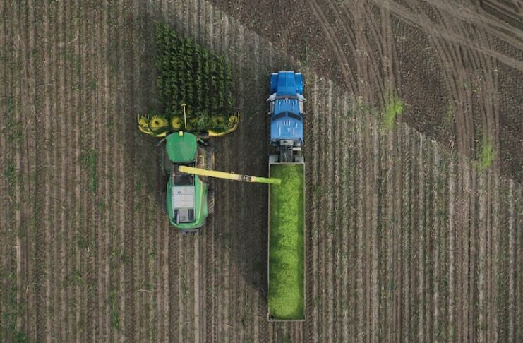 A combine harvests crops in a scene from Mirasol film