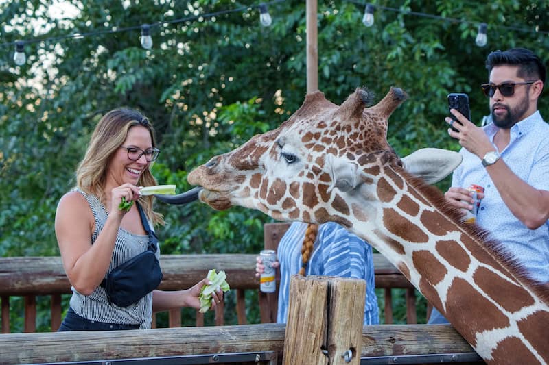 50 Fun Things to Do in Colorado Springs - Springsmag