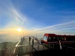 How to Celebrate Colorado Day on Pikes Peak and Around the Springs People take photos from the observation deck of sunrise on Pikes Peak at the Pikes Peak Summit Visitor Center.