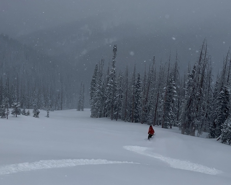 A skier makes fresh tracks in the Monarch Mountain No Name Expansion