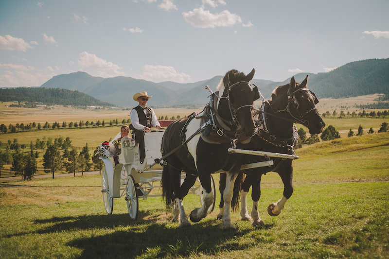 A bride rides in a horse-drawn carriage with wide grasslands and mountains on the horizon at Spruce Mountain Ranch, one of the most scenic wedding venues in Colorado Springs. 