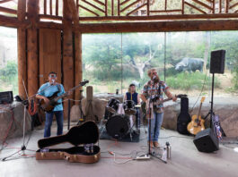 5 Best Things to Do in Colorado Springs This Weekend A band plays in front of an animal enclosure at the Cheyenne Mountain Zoo, one of the best things to do in Colorado Springs this weekend.