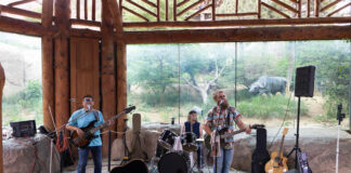 5 Best Things to Do in Colorado Springs This Weekend A band plays in front of an animal enclosure at the Cheyenne Mountain Zoo, one of the best things to do in Colorado Springs this weekend.