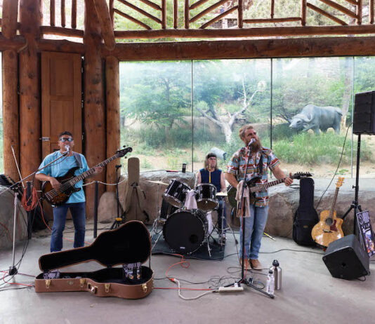5 Best Things to Do in Colorado Springs This Weekend A band plays in front of an animal enclosure at the Cheyenne Mountain Zoo, one of the best things to do in Colorado Springs this weekend.