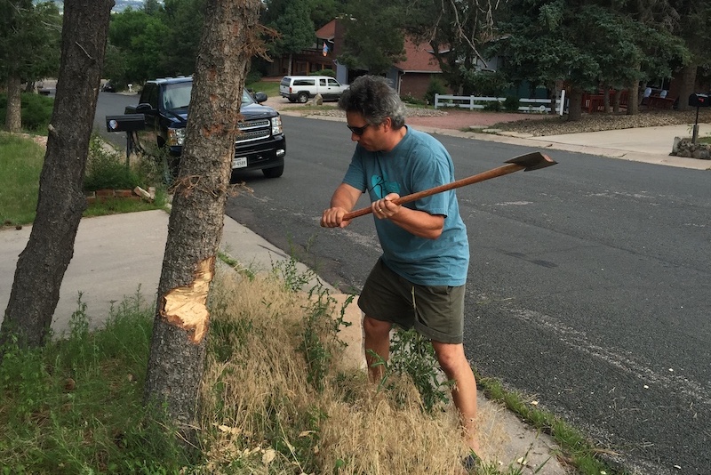 Steven Hayward chops down a tree in his front yard. He writes about it in his Springs magazine humor column about the misadventures of living in Colorado Springs.