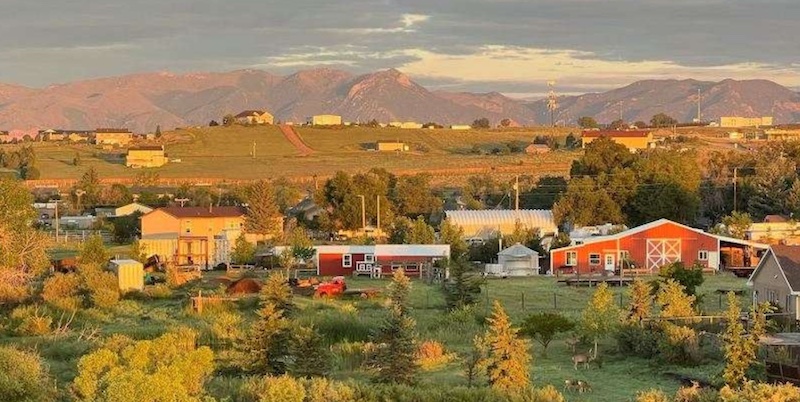 Overview of the Long Neck Pumpkin Farm and its fall pumpkin patch.