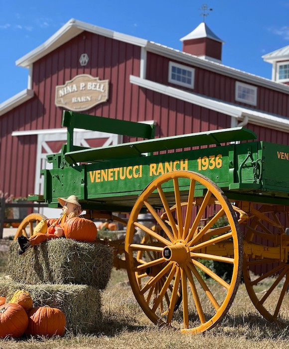 Wagon and barn at the Venetucci Farm Pumpkin Patch.