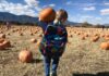 Favorite Fall Pumpkin Patches to Get You Pumped for the Season A boy carries a pumpkin on a field trip to Venetucci Farms Pumpkin Patch.