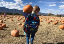 Favorite Fall Pumpkin Patches to Get You Pumped for the Season A boy carries a pumpkin on a field trip to Venetucci Farms Pumpkin Patch.